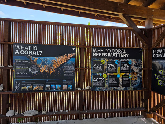 Coral Vita-弗里波特必去景点