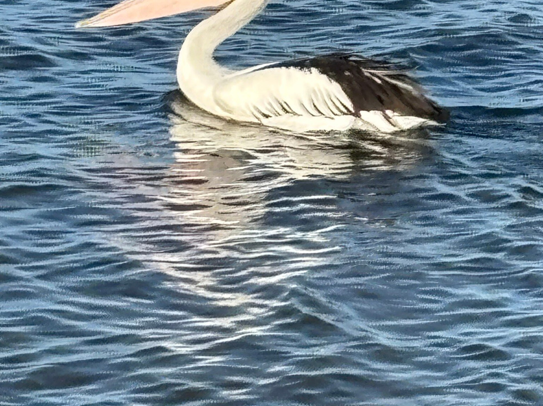 The Wave Oasis主图