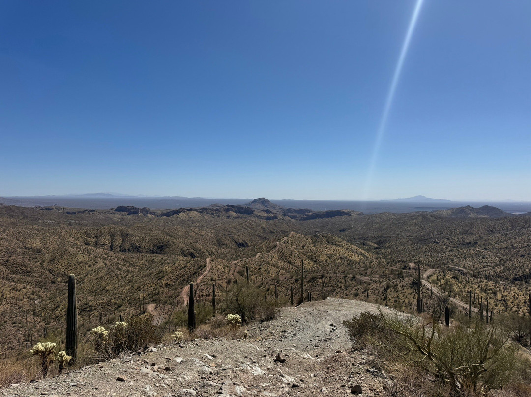 AZ Rentals and More-Florence必去景点