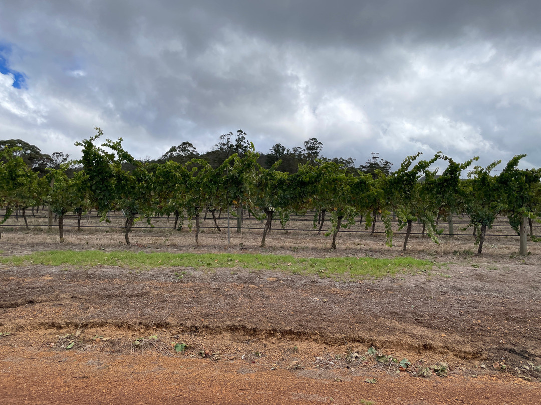 Castle Rock Estate-Porongurup必去景点