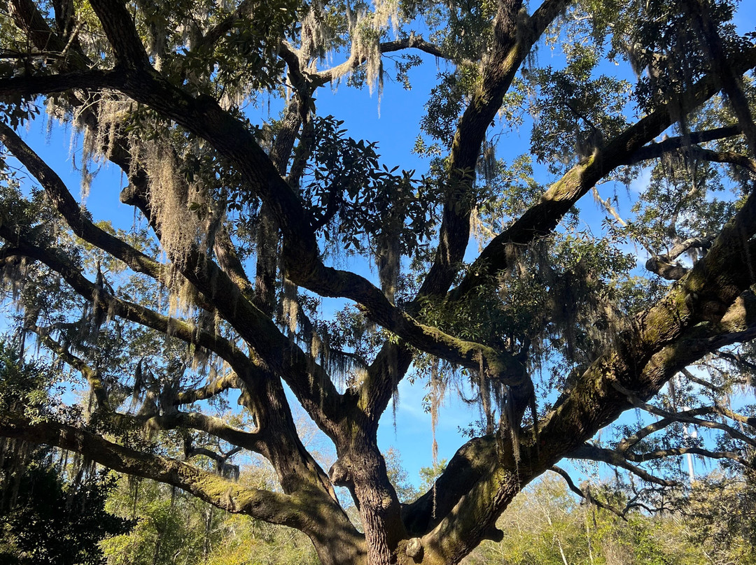 Bon Secour National Wildlife Refuge-格尔夫海岸必去景点