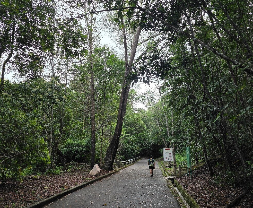 Tasek Lama Recreational Park景点图片