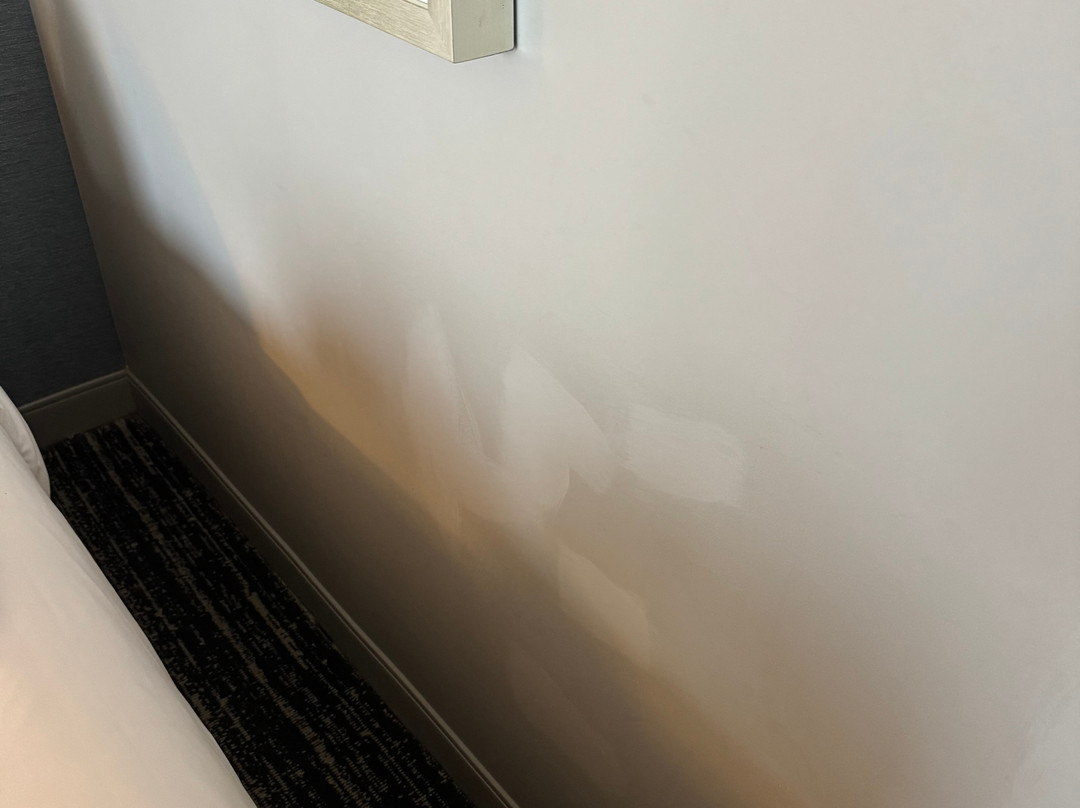 波士顿伯灵顿万豪酒店主图