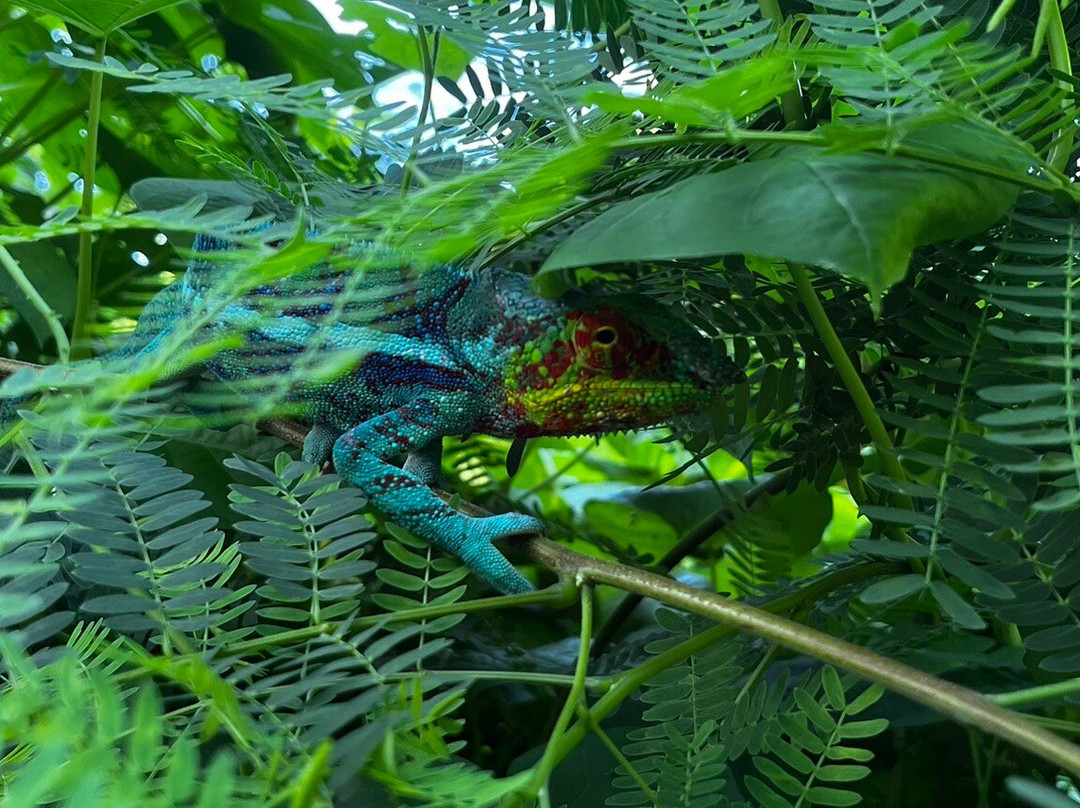 Nosy Tanikely景点图片