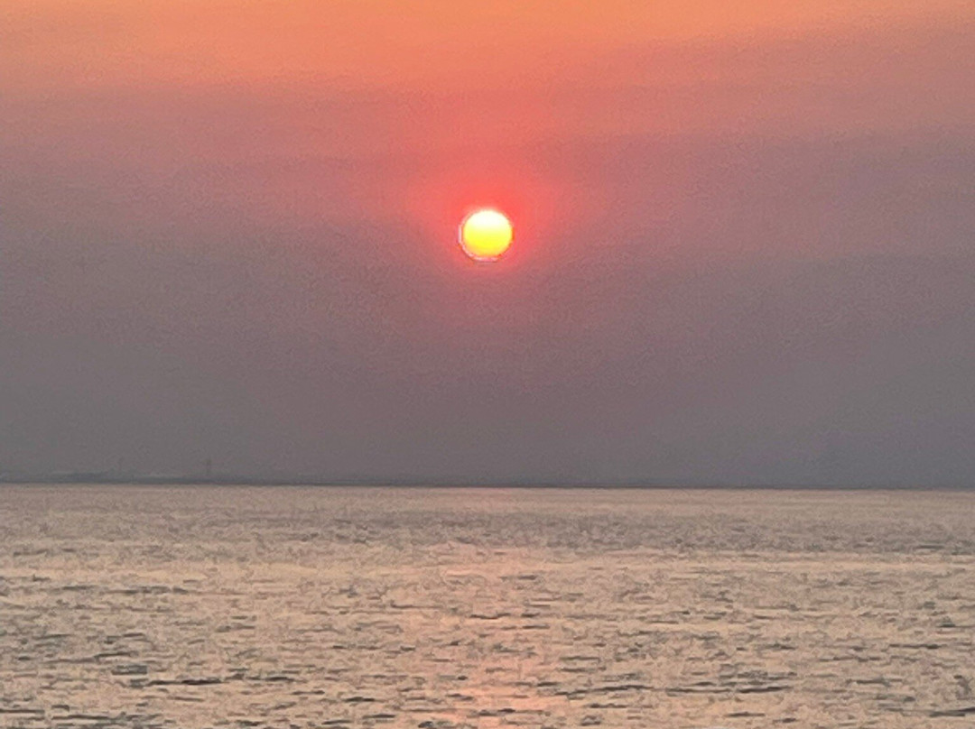 Miyazaki Car Ferry-宫崎市必去景点