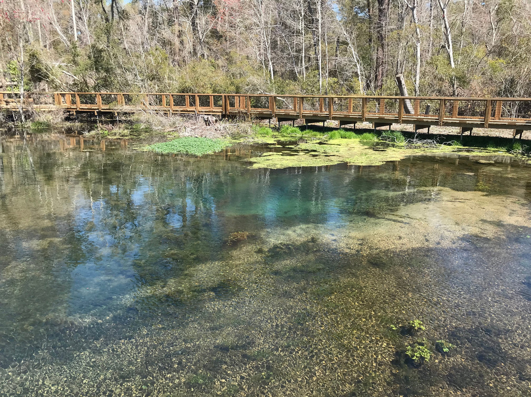 Magnolia Springs Park-Millen必去景点