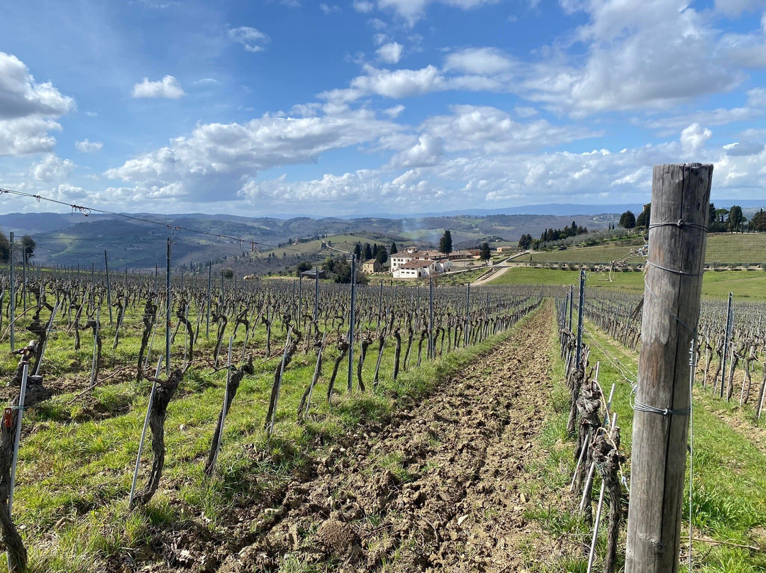 Scenic wine tours in Tuscany-Loro Ciuffenna必去景点