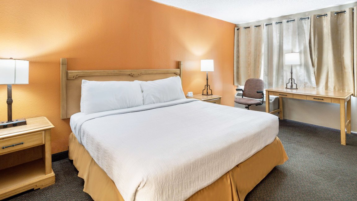 珍珠在孔乔-客卧