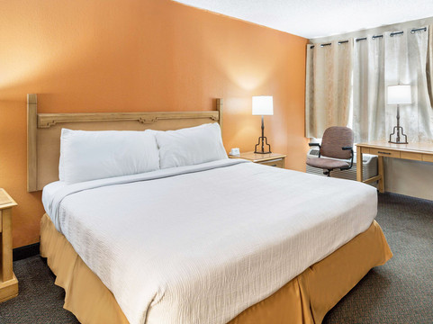 珍珠在孔乔主图