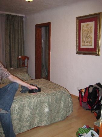 Hotel Schwan Mainz-客卧