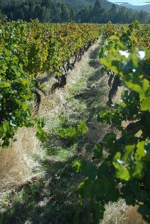 Tabonko Guest House主图