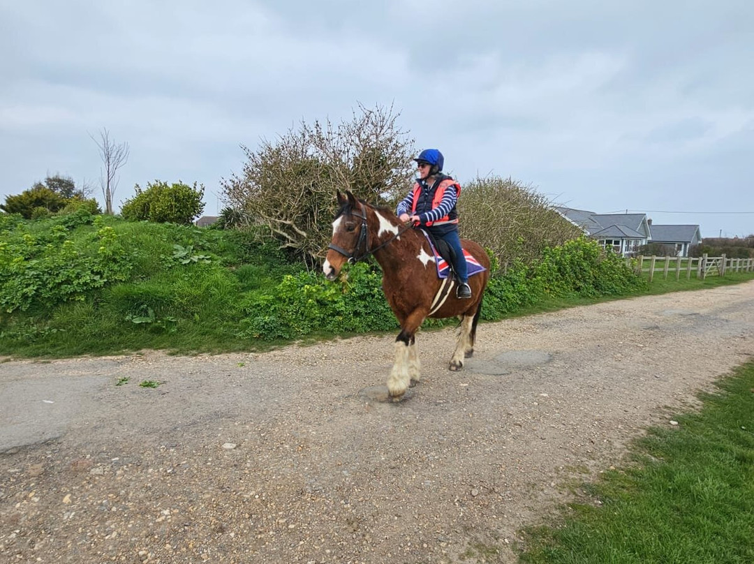 Sally's Riding School-St Helens必去景点