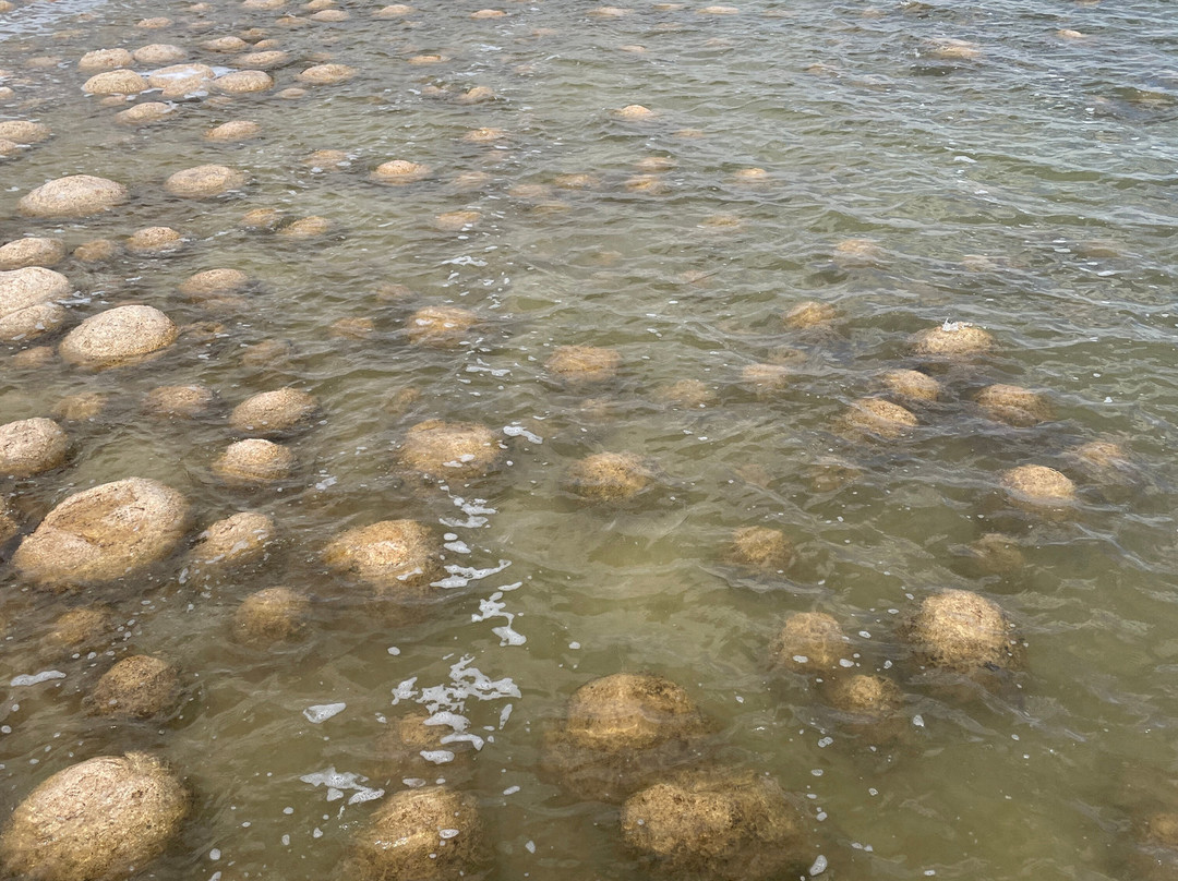 Lake Clifton-Yalgorup National Park必去景点