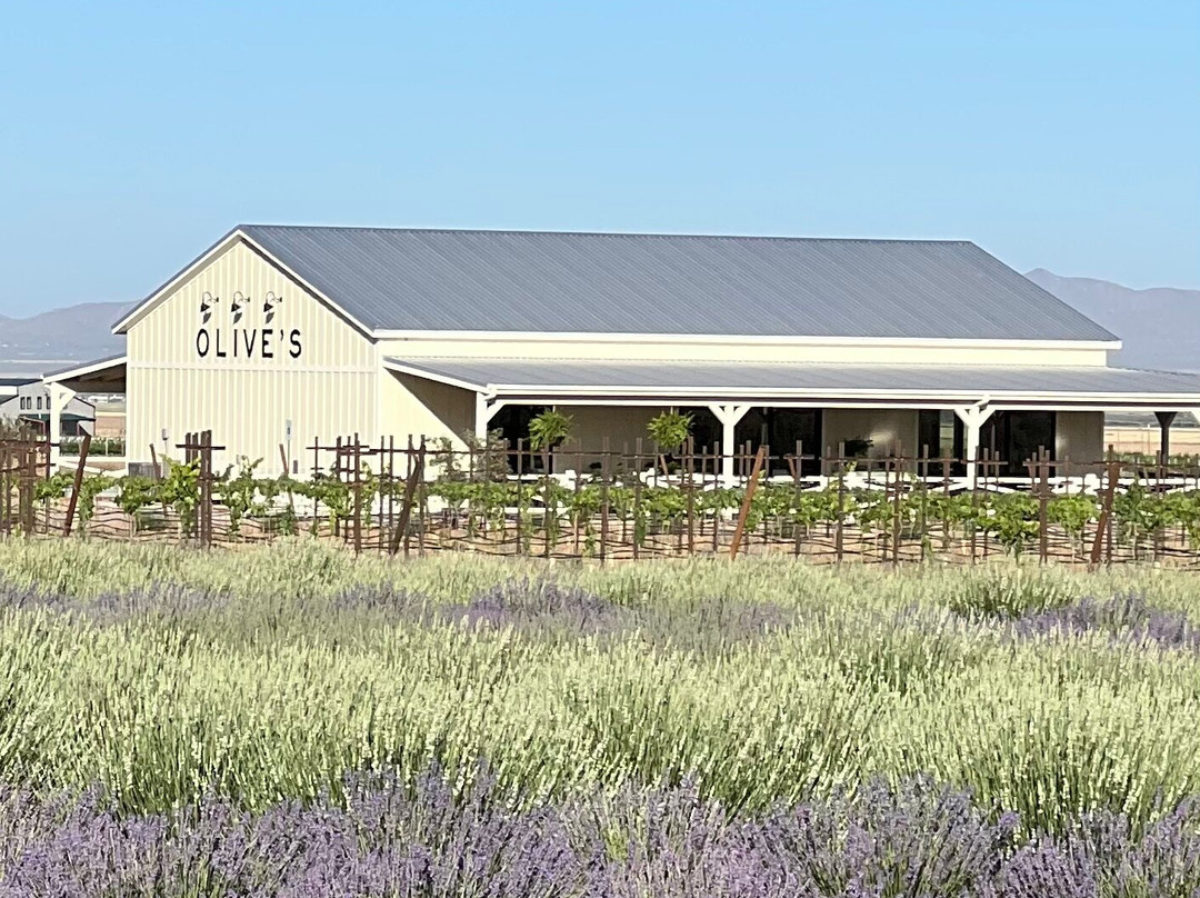 Olive's Vineyard Café