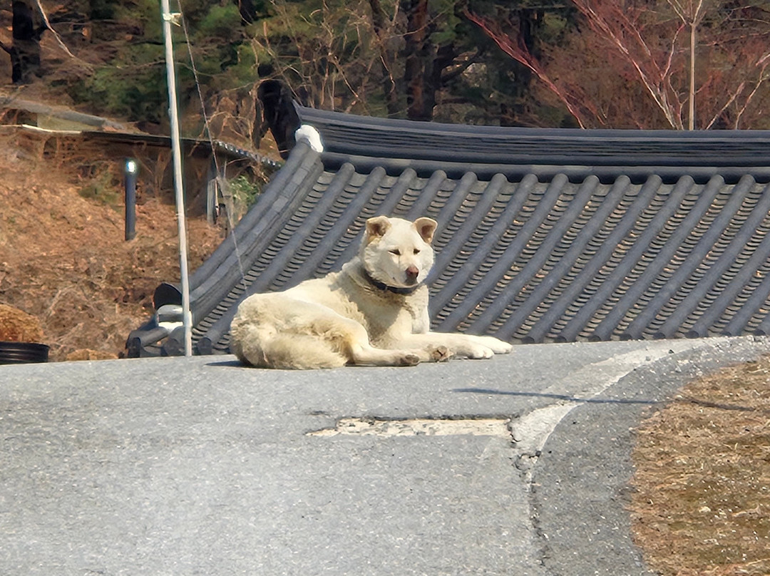 Deogjusa-堤川市必去景点