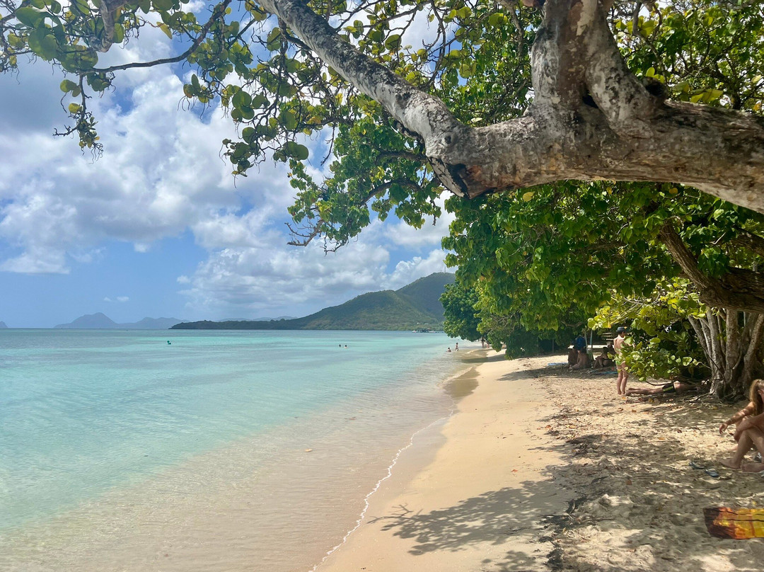 La Pointe Marin-Sainte-Anne必去景点