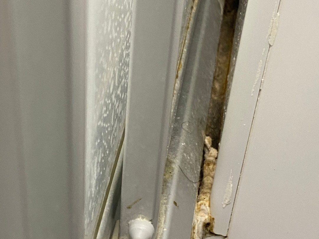 萨尔茨堡市中心埃维多酒店主图