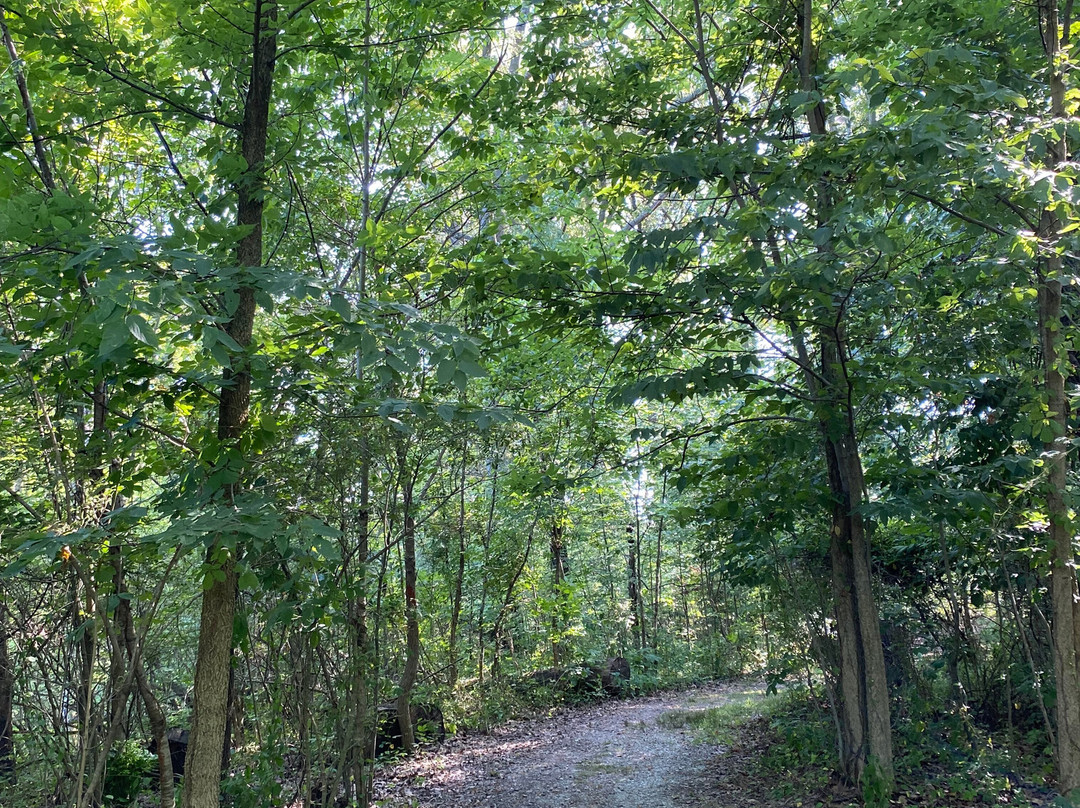 Old Woman Creek State Nature Preserve-Huron必去景点