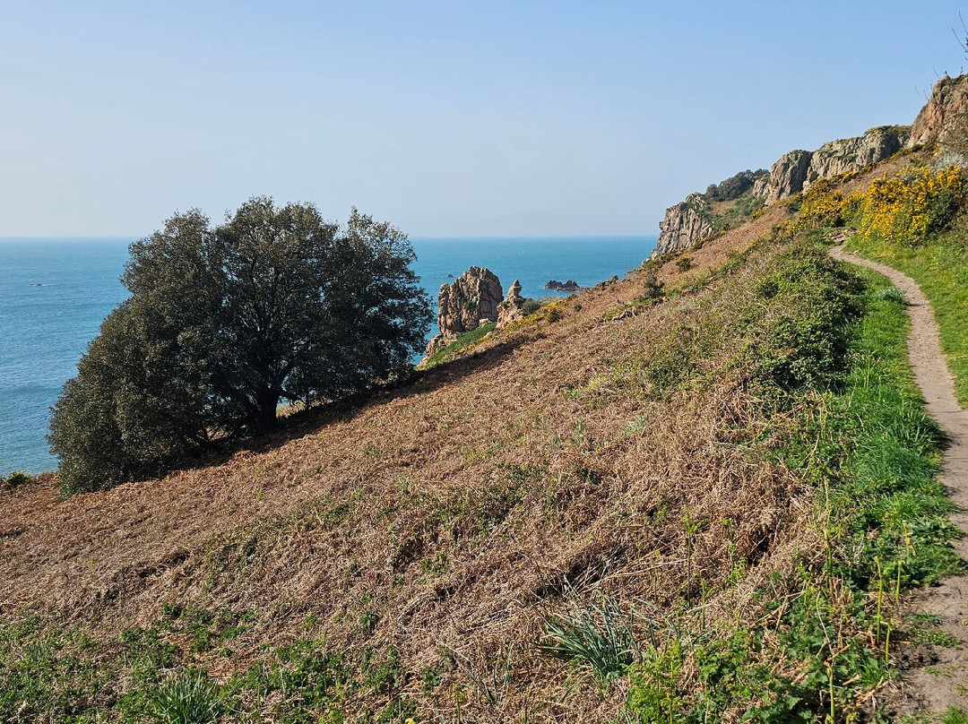 Railway Walk - St Aubin To Corbiere