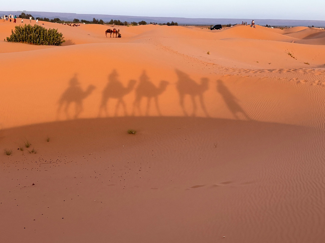 Sahara Dream Tours-伊拉悉迪亚必去景点