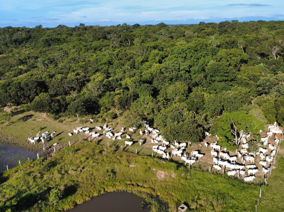 Finca Cacarachi-San Ignacio de Velasco必去景点