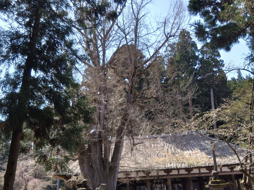 Shingu Kumano Shrine Nagatoko-喜多方市必去景点