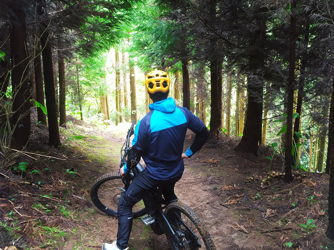 Azores Mountain Bike Holidays-Faja de Baixo必去景点