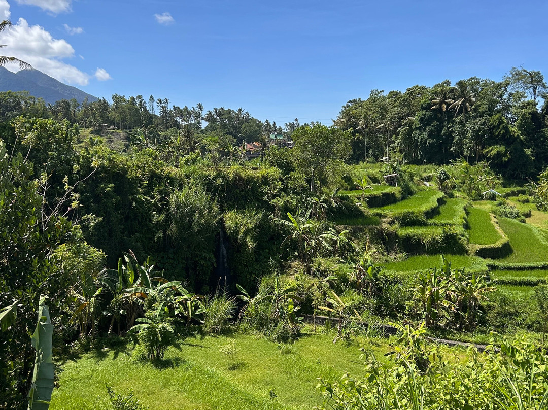 Maha Gangga Valley-阿巴比必去景点