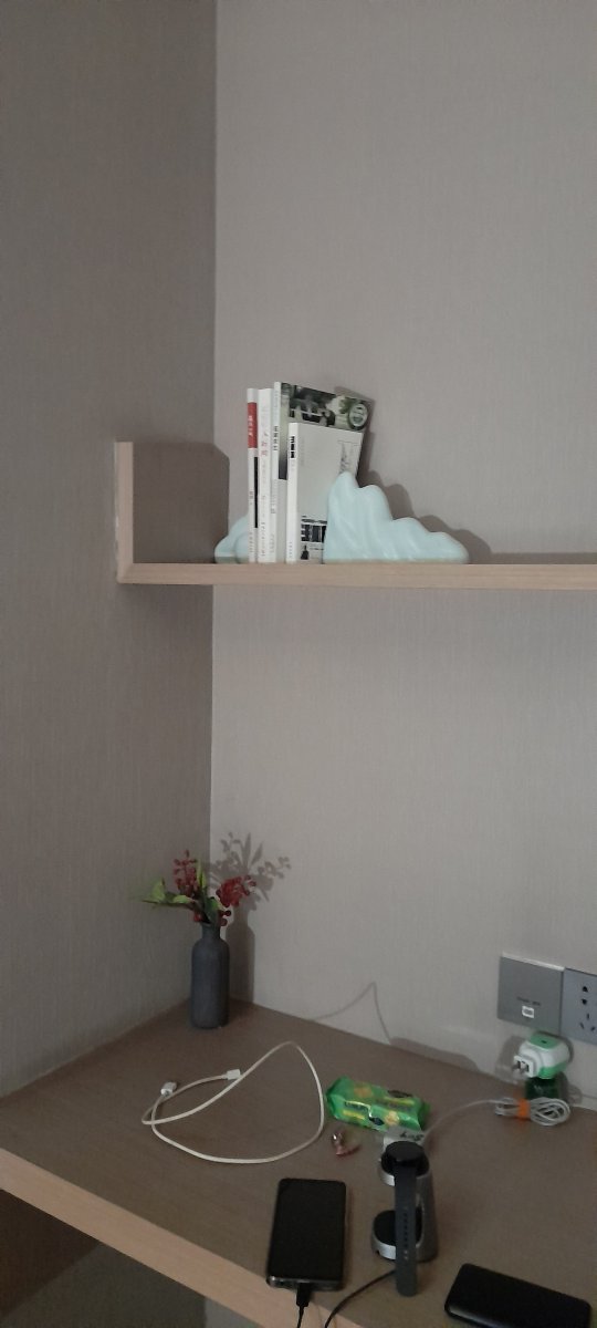 歌江维嘉酒店-客卧