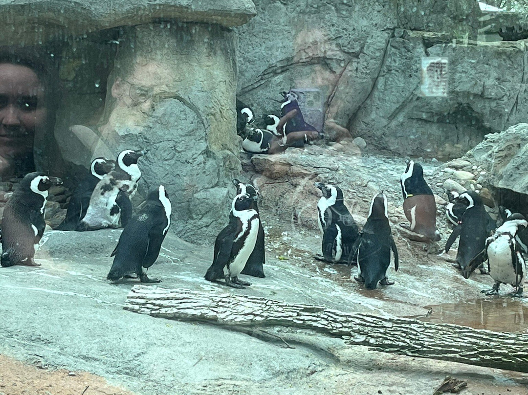 Seneca Park Zoo-罗切斯特必去景点