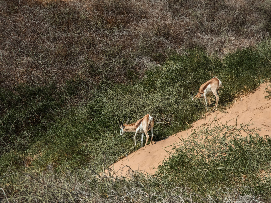 Travel Uncharted-华维斯湾必去景点
