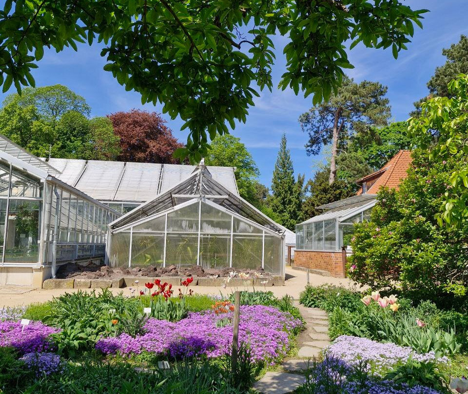 Botanischer Garten der Technischen Universitat Braunschweig-布伦瑞克必去景点