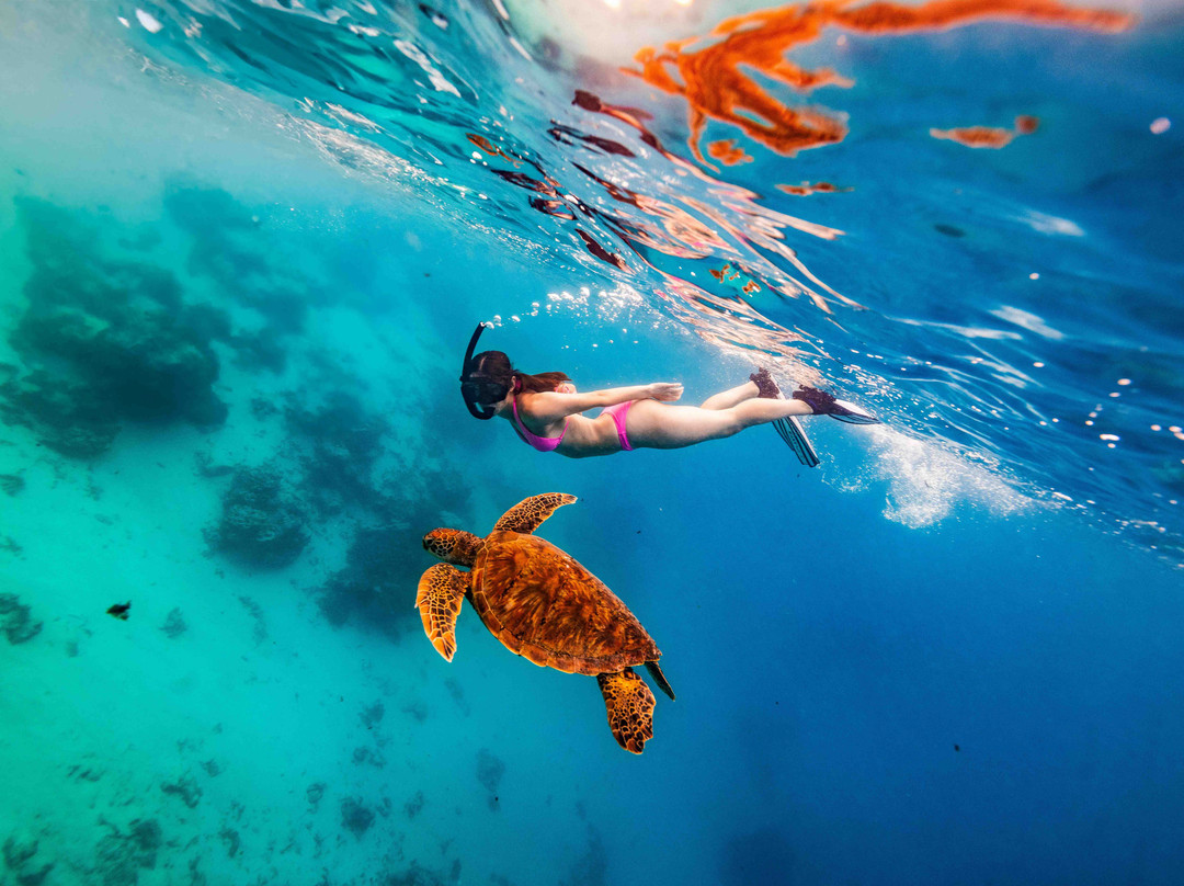 Snorkel Cook Islands-拉罗汤加必去景点