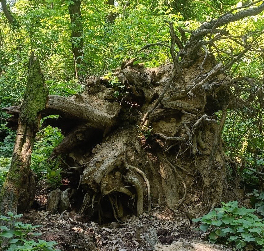 Cascata Schivanoia-Castelnuovo必去景点