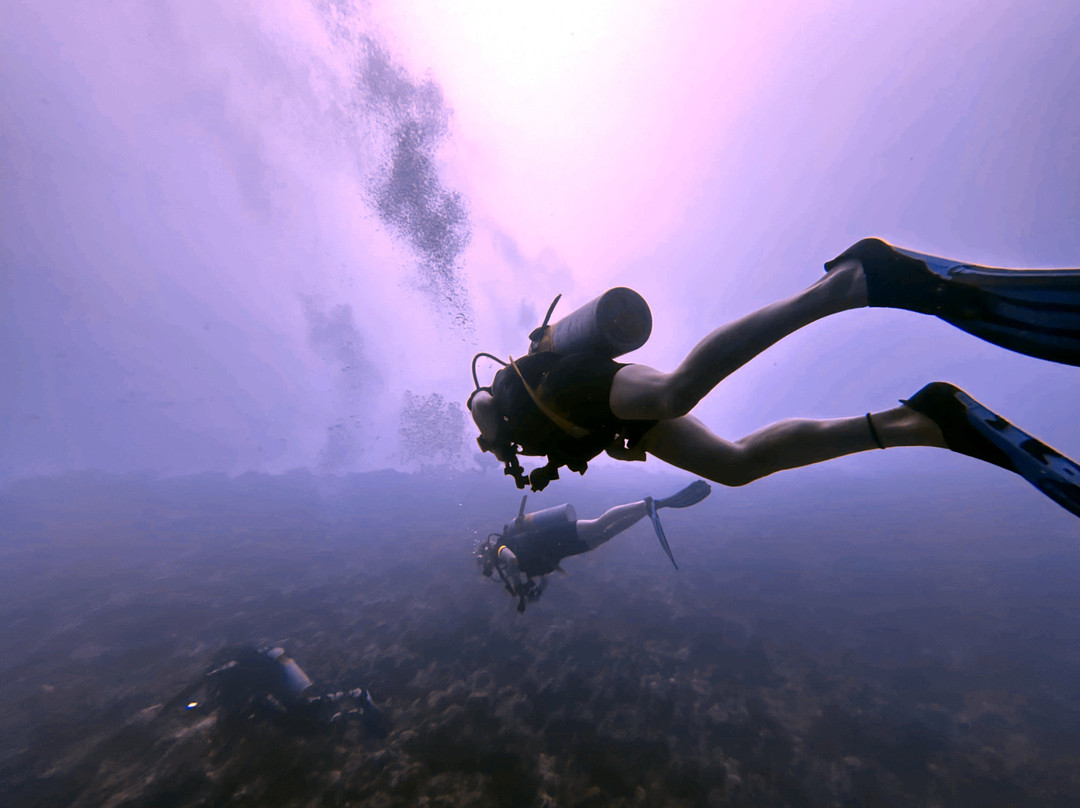 Euro-Divers Meeru景点图片
