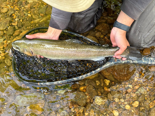 The Speckled Trout Outfitters-布洛英罗克必去景点