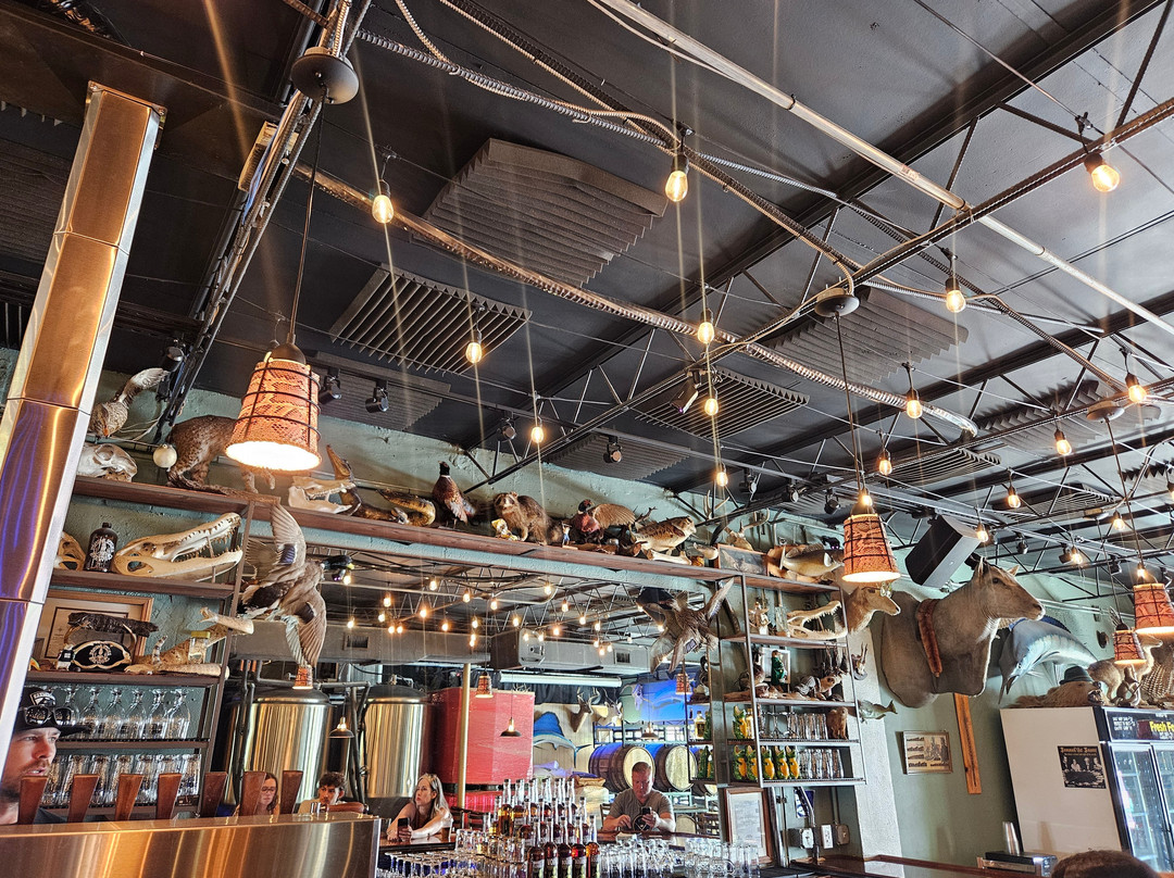 Invasive Species Brewing-劳德代尔堡必去景点