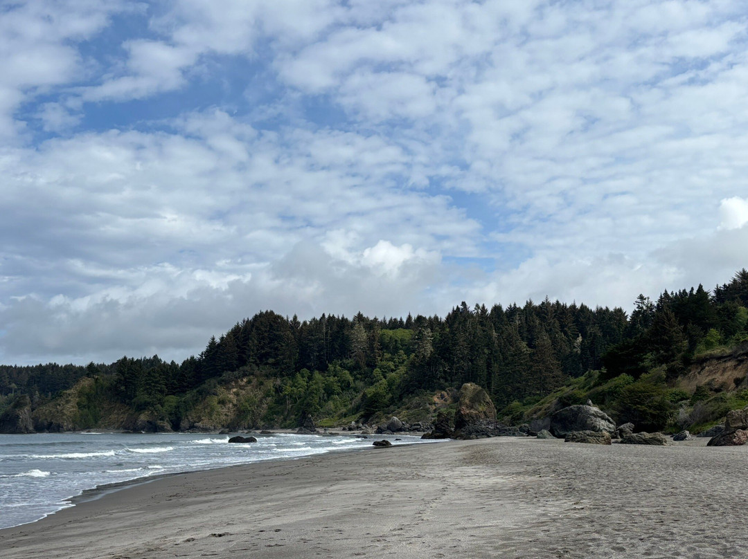 Trinidad State Beach景点图片