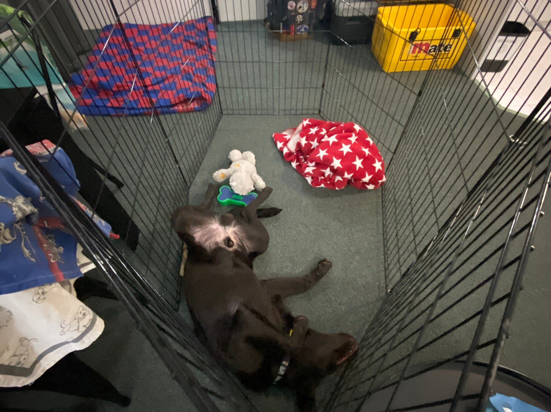 Reef Adventureland Motor Inn主图