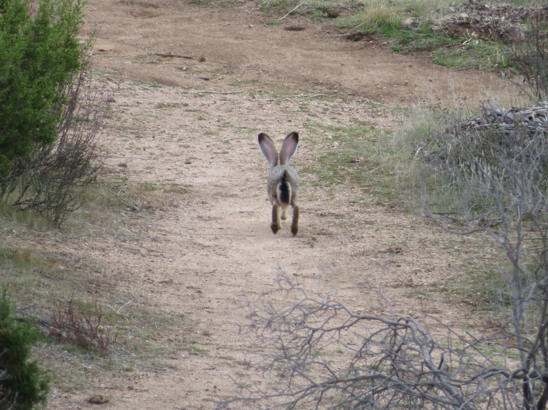 Vasquez Rocks Natural Area-Agua Dulce必去景点