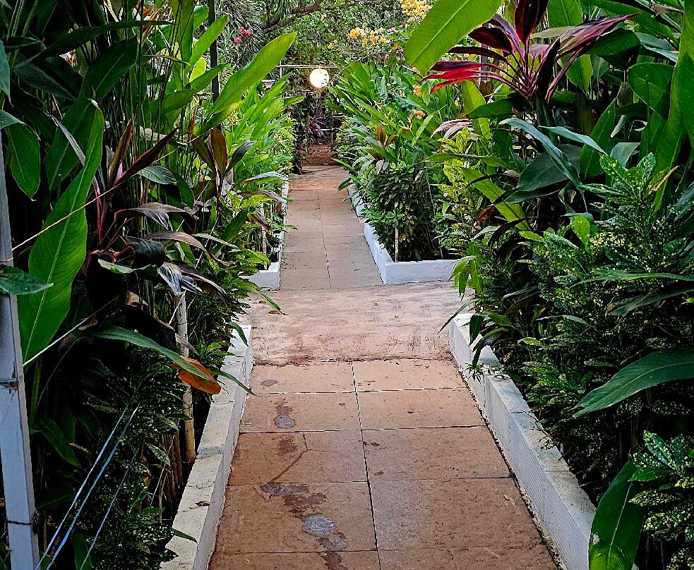 Preksha Yoga Ashram-Mandrem必去景点