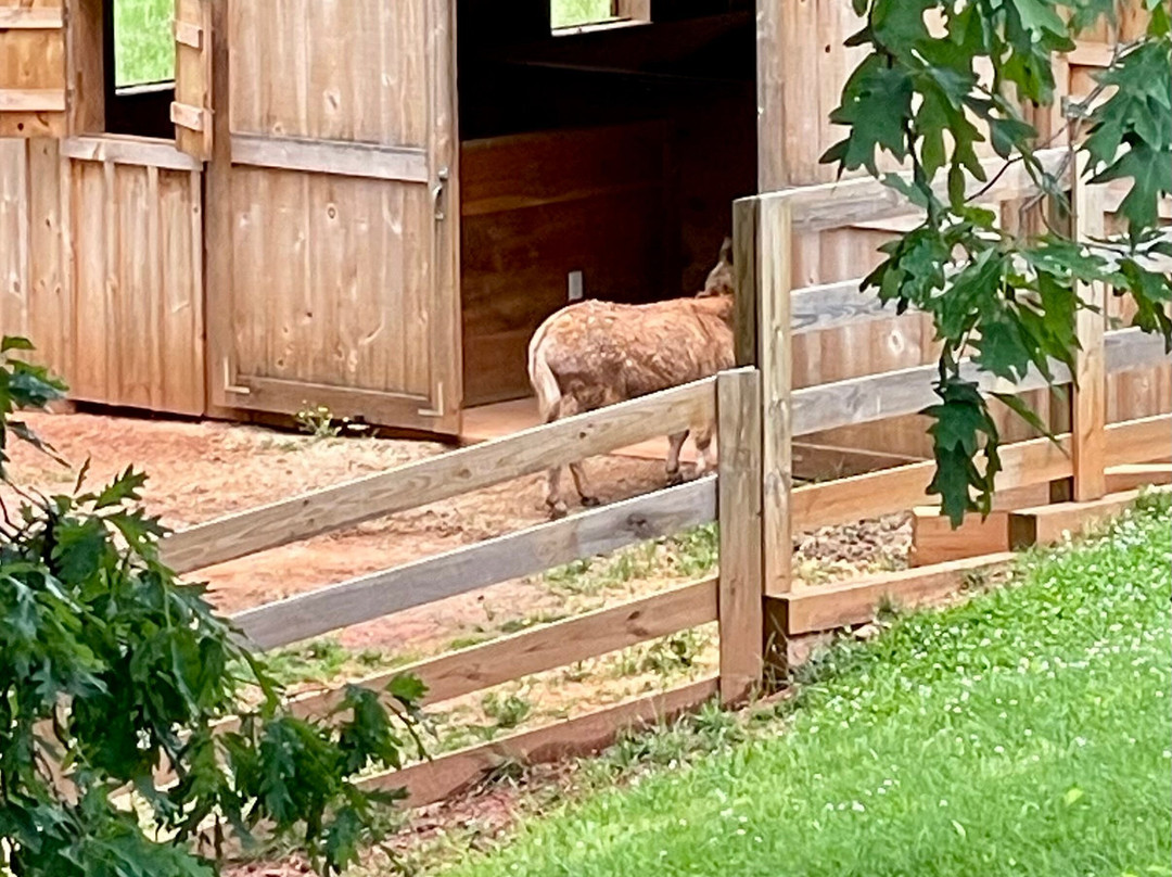 Cavender Creek Vineyards and Winery-达洛尼加必去景点