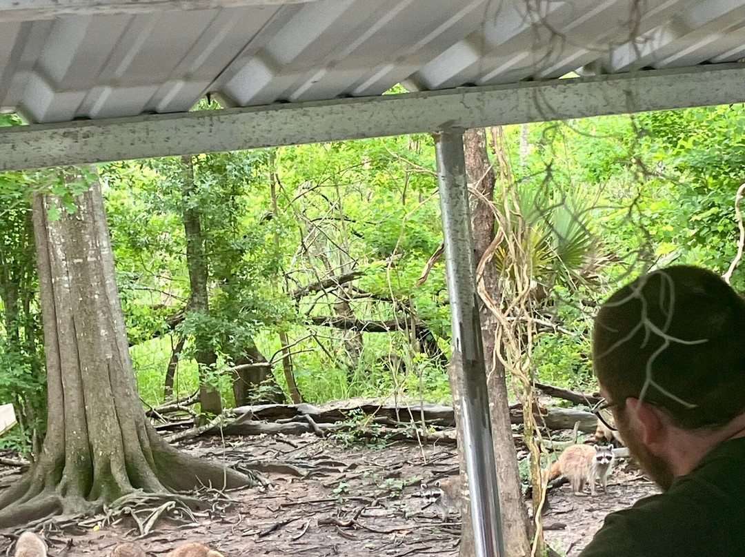 Cajun Pride Swamp Tours景点图片