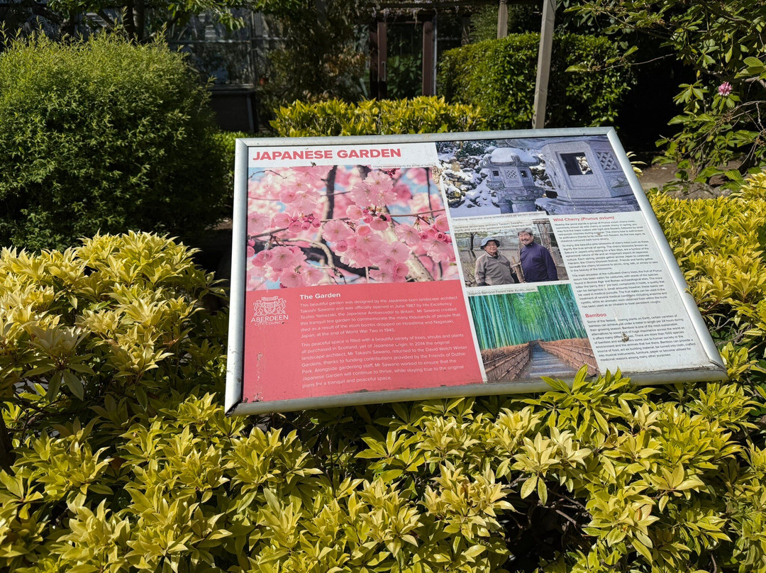Duthie Park Winter Gardens-阿伯丁必去景点