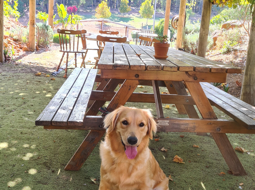 Drakesbrook Winery景点图片