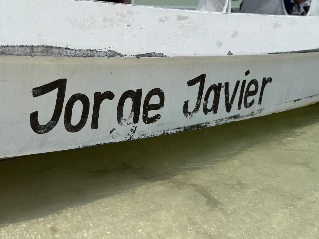 Río Lagartos Experience By Jorge N-里奥拉加托斯必去景点