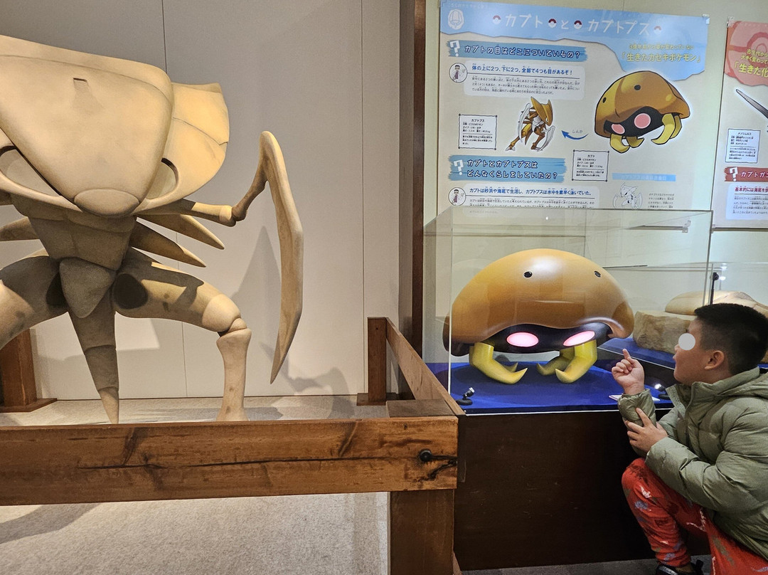 Hofu Science Museum Solar-防府市必去景点