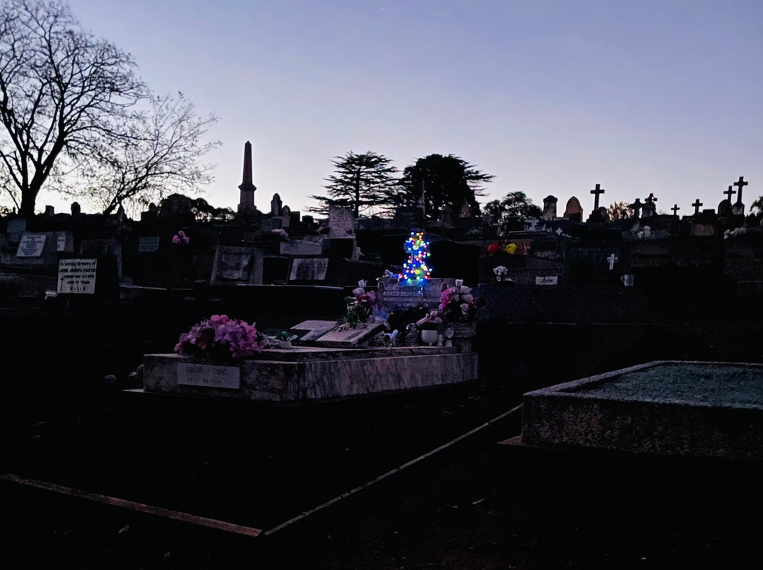 Yass Cemetery-亚斯必去景点