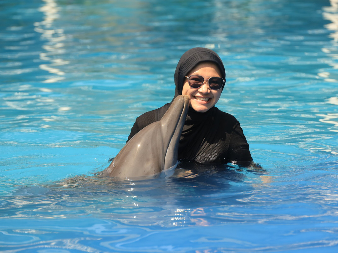 Bali Exotic Marine Park-登巴萨必去景点