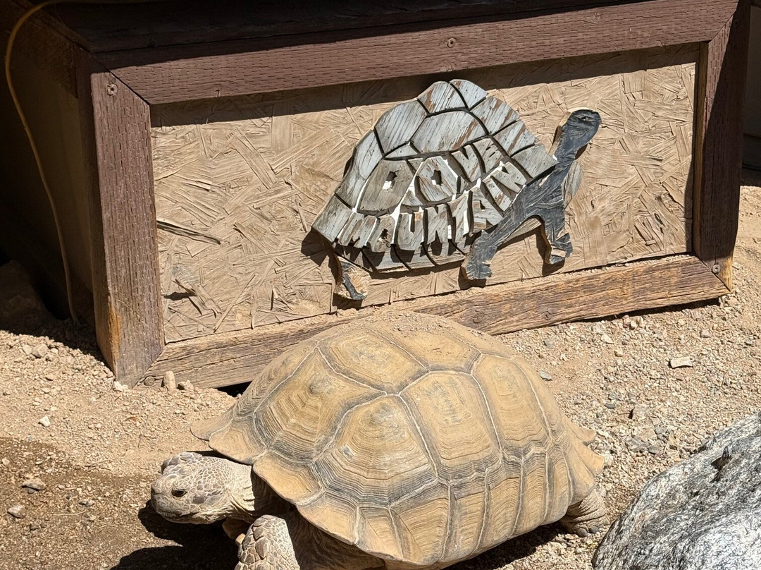 德芙山丽思卡尔顿酒店主图